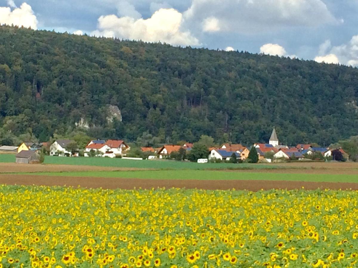 Апартаменты Idylle I An Der Donau Pentling Экстерьер фото